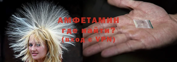 амф Дмитриев