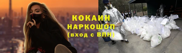 амф Дмитриев