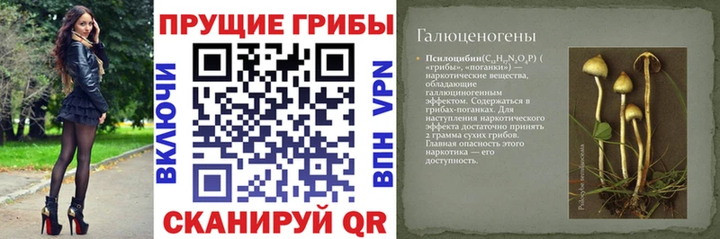 Галлюциногенные грибы мицелий  цены наркотик  Касли 