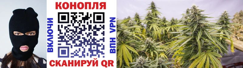 купить наркотик  Касли  Канабис OG Kush 